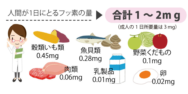 フッ化物が含まれる食品
